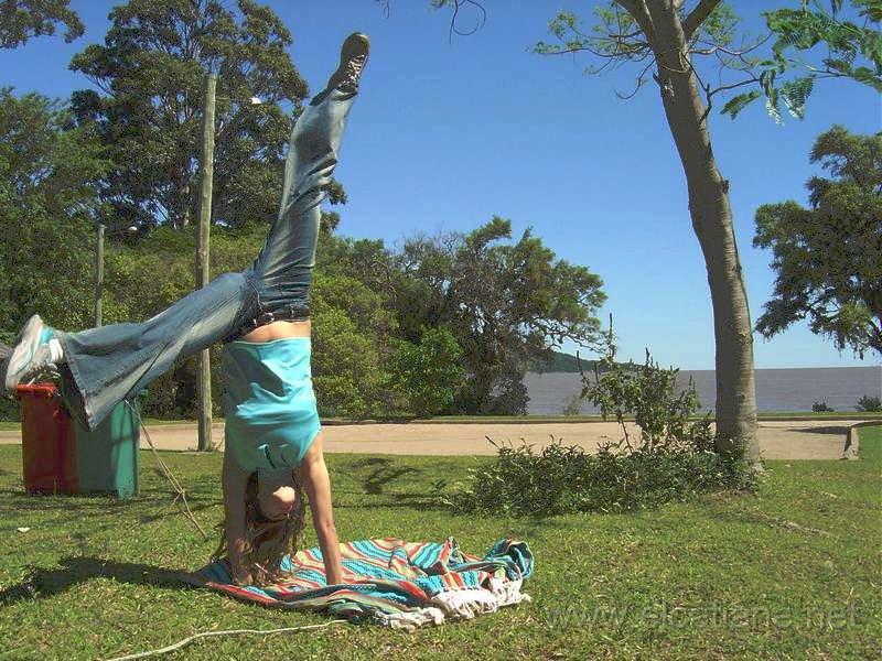 estrela.jpg - A ESTRELA